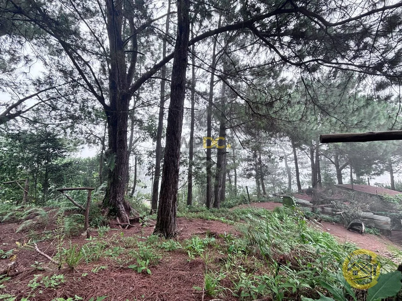 Balacbac House and Lot - photo 2